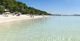 Hotel Ivory Playa Sports & Spa | Balearic Adaları - Mayorka Adası - Alcudia