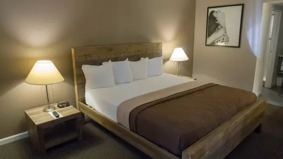 Thunderbird Boutique Hotel | Nevada - Clark County - Las Vegas (ve civarı) - Las Vegas