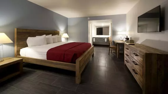 Thunderbird Boutique Hotel | Nevada - Clark County - Las Vegas (ve civarı) - Las Vegas