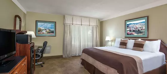 Ramada by Wyndham Denver Downtown | Kolorado - Denver (ve civarı) - Denver - Cheesman Park