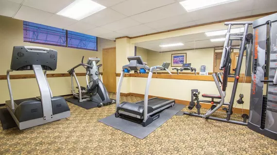 Ramada by Wyndham Denver Downtown | Kolorado - Denver (ve civarı) - Denver - Cheesman Park