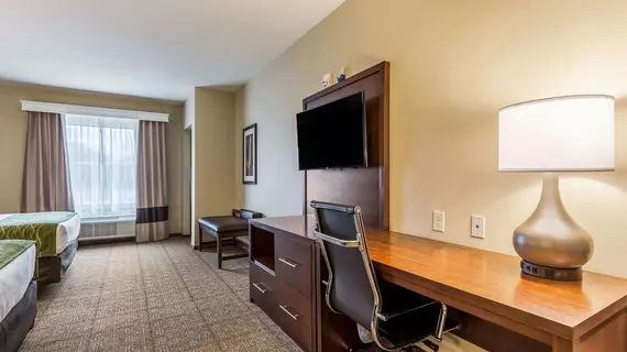 Comfort Suites St George University Area | Utah - St. George (ve civarı) - St. George