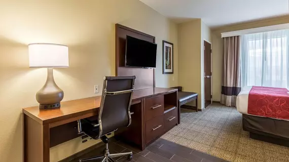 Comfort Suites St George University Area | Utah - St. George (ve civarı) - St. George