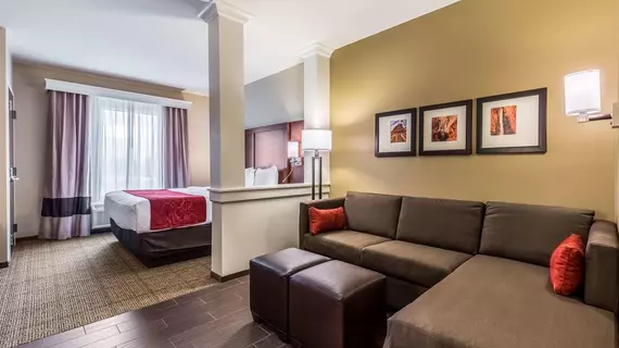 Comfort Suites St George University Area | Utah - St. George (ve civarı) - St. George