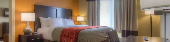 Quality Inn & Suites Chattanooga | Tennessee - Chattanooga (ve civarı) - Chattanooga