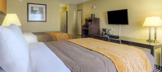 Quality Inn & Suites Chattanooga | Tennessee - Chattanooga (ve civarı) - Chattanooga