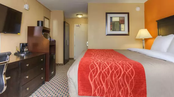 Quality Inn & Suites Chattanooga | Tennessee - Chattanooga (ve civarı) - Chattanooga