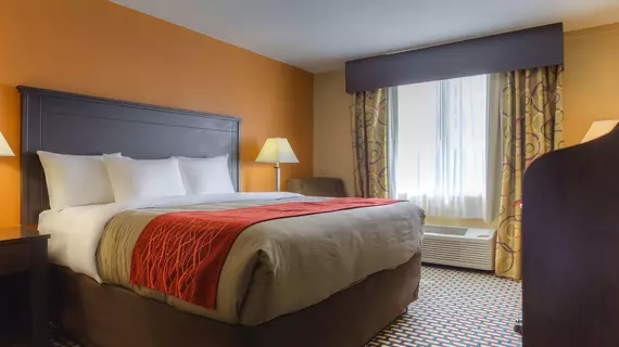 Quality Inn & Suites Chattanooga | Tennessee - Chattanooga (ve civarı) - Chattanooga