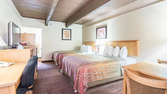 Teton West Motel | Wyoming - Jackson Hole (ve civarı) - Driggs