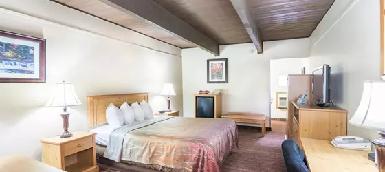 Teton West Motel | Wyoming - Jackson Hole (ve civarı) - Driggs