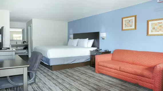 Hotel South Tampa & Suites | Florida - Tampa (ve civarı) - Tampa