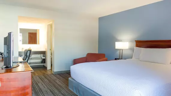 Hotel South Tampa & Suites | Florida - Tampa (ve civarı) - Tampa