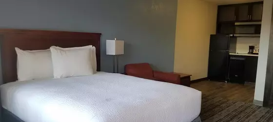 Hotel South Tampa & Suites | Florida - Tampa (ve civarı) - Tampa