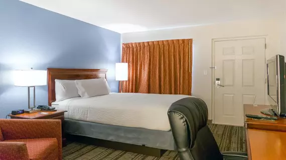 Hotel South Tampa & Suites | Florida - Tampa (ve civarı) - Tampa