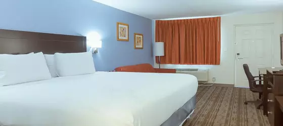 Hotel South Tampa & Suites | Florida - Tampa (ve civarı) - Tampa