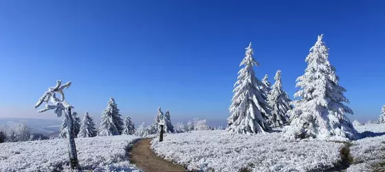 Hapimag Resort Winterberg | Kuzey Ren-Westfalia - Hochsauerlandkreis - Winterberg