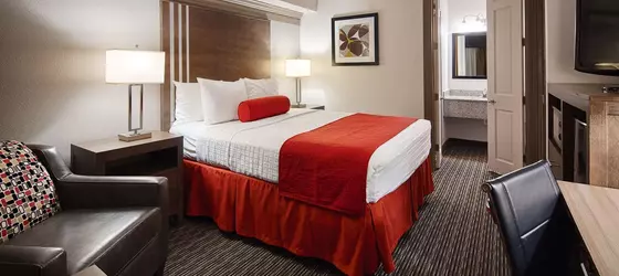 Aiden by Best Western @ Austin City Hotel | Teksas - Austin (ve civarı) - Austin - South Congress