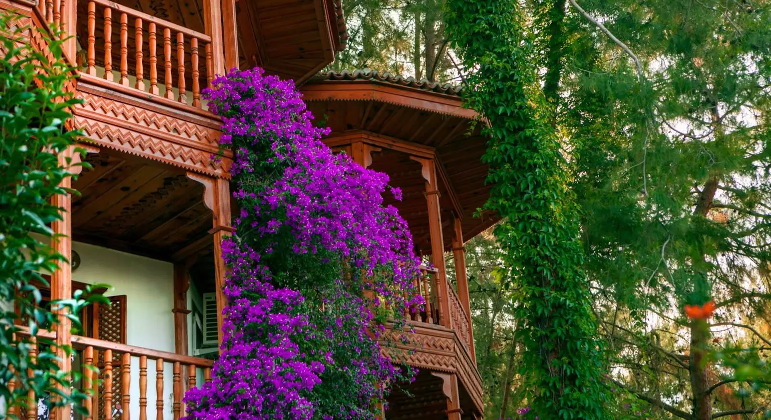 Club & Hotel Letoonia Fethiye