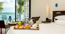 Andaz Mayakoba Resort Riviera Maya | Quintana Roo - Solidaridad - Playa del Carmen