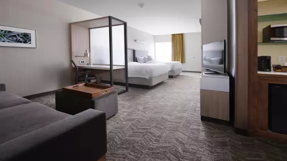 SpringHill Suites by Marriott San Antonio Northwest at The Rim | Teksas - San Antonio (ve civarı) - San Antonio