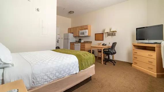 Quality Inn & Suites Denver South Park Meadows Area | Kolorado - Denver (ve civarı) - Englewood