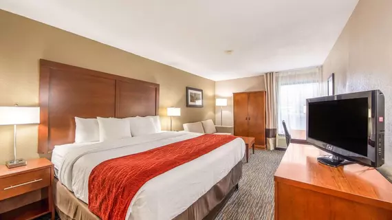 Comfort Inn Greenville - Haywood Mall | Güney Karolayna - Greenville - Spartanburg (ve civarı) - Greenville