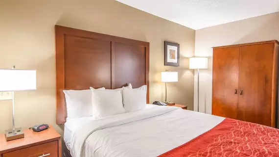 Comfort Inn Greenville - Haywood Mall | Güney Karolayna - Greenville - Spartanburg (ve civarı) - Greenville