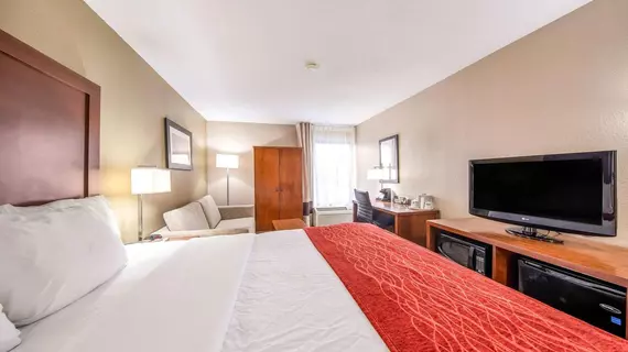 Comfort Inn Greenville - Haywood Mall | Güney Karolayna - Greenville - Spartanburg (ve civarı) - Greenville