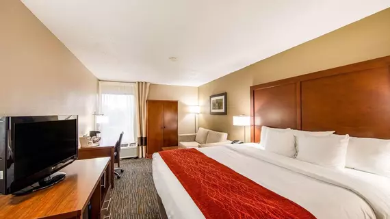 Comfort Inn Greenville - Haywood Mall | Güney Karolayna - Greenville - Spartanburg (ve civarı) - Greenville