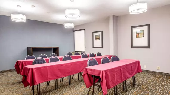 Comfort Inn Greenville - Haywood Mall | Güney Karolayna - Greenville - Spartanburg (ve civarı) - Greenville