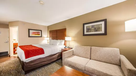 Comfort Inn Greenville - Haywood Mall | Güney Karolayna - Greenville - Spartanburg (ve civarı) - Greenville