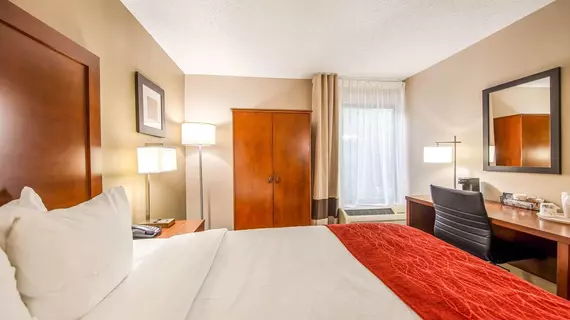 Comfort Inn Greenville - Haywood Mall | Güney Karolayna - Greenville - Spartanburg (ve civarı) - Greenville