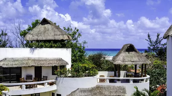 Blue Palms by Kamuvan | Quintana Roo - Solidaridad - Playa del Carmen