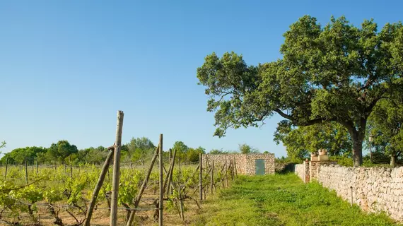 Sa Bassa Rotja Ecoturisme | Balearic Adaları - Mayorka Adası - Pla de Mallorca