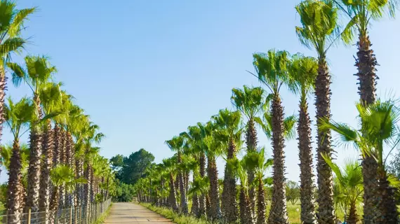 Sa Bassa Rotja Ecoturisme | Balearic Adaları - Mayorka Adası - Pla de Mallorca