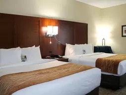 Comfort Inn | Alabama - Birmingham (ve civarı) - Fultondale