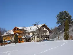 Haus Hochegg | Salzburg (eyalet) - St. Gilgen - Salzburg-Umgebung District