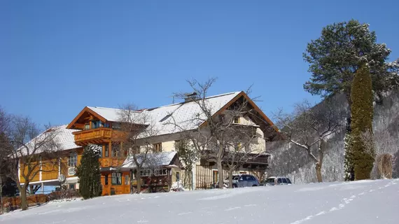 Haus Hochegg | Salzburg (eyalet) - St. Gilgen - Salzburg-Umgebung District