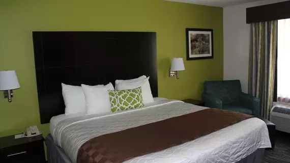 Best Western Magnolia Inn and Suites | Güney Karolayna - Charleston (ve civarı) - Ladson