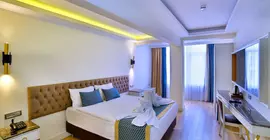 Beethoven Premium Hotel |  Istanbul  - Fatih - Laleli