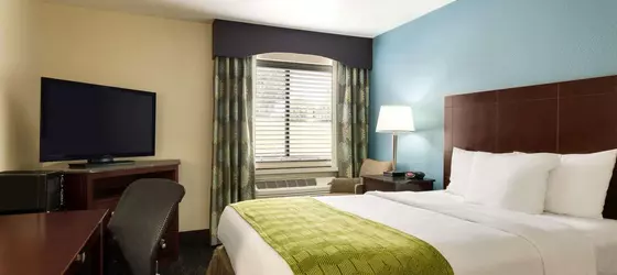 Super 8 by Wyndham Nashville East | Tennessee - Nashville-Davidson - Nashville (ve civarı) - Nashville - Opryland - Donelson