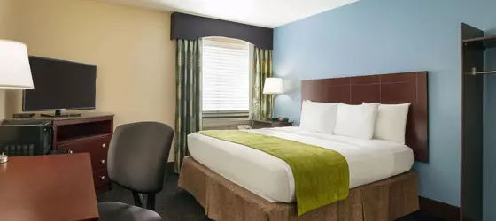 Super 8 by Wyndham Nashville East | Tennessee - Nashville-Davidson - Nashville (ve civarı) - Nashville - Opryland - Donelson