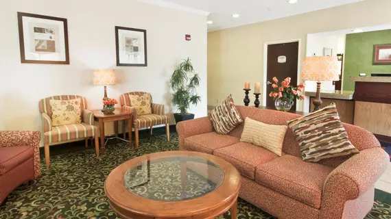 Wingate by Wyndham Oklahoma City South | Oklahoma - Oklahoma City (ve civarı) - Oklahoma