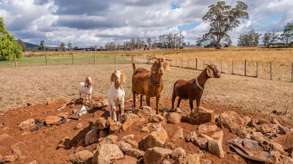 Glencoe Country Bed and Breakfast | Tazmanya - Barrington